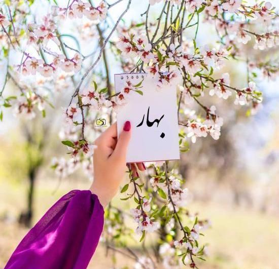 عکس پروفایل بهاری جدید