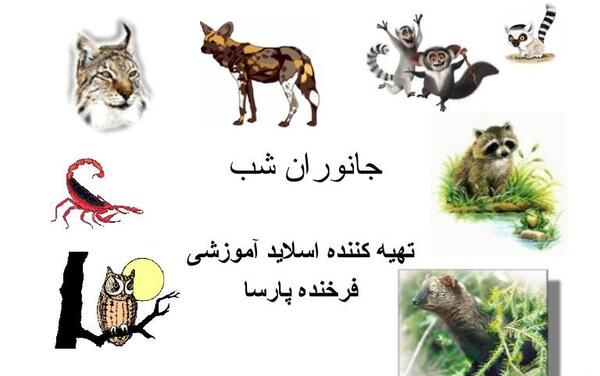 عکس حیوانات شبگرد