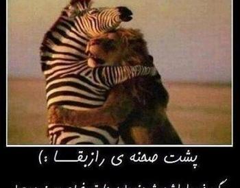 عکس حافظ خنده دار