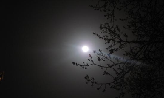 عکس شب طبیعی