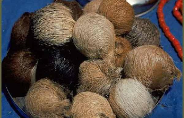 عکس عطر آهو