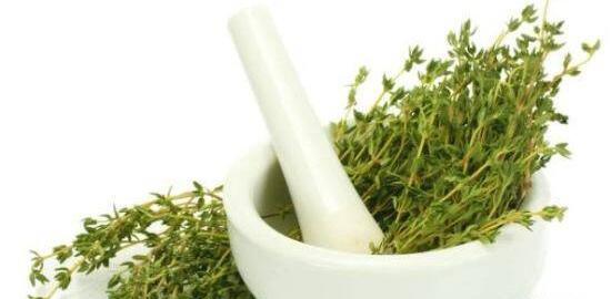 عکس هایی از آویشن