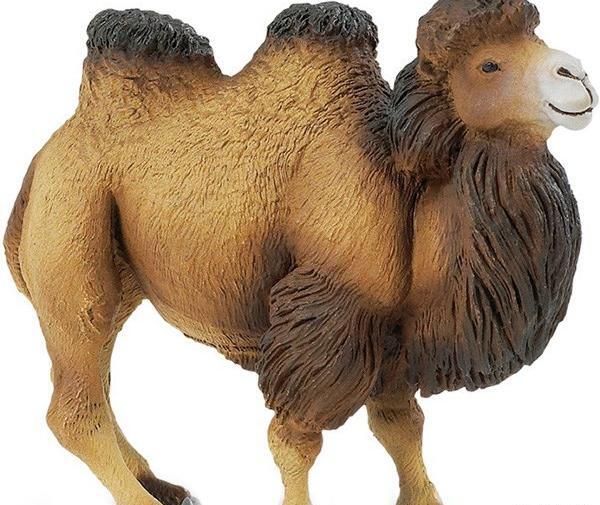 عکس شتر اسباب بازی