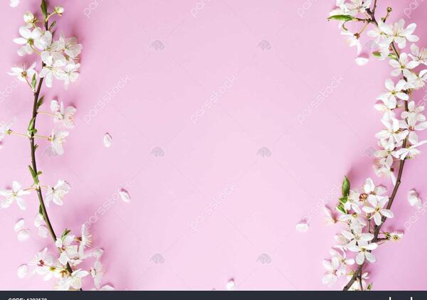 عکس بهار گل