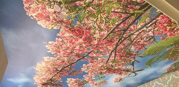 عکس سه بعدی سقف