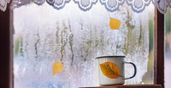 عکس چای پشت پنجره