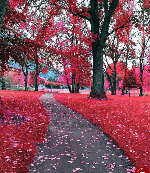 عکس طبیعت سه بعدی