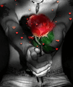 عکس گل عشق متحرک