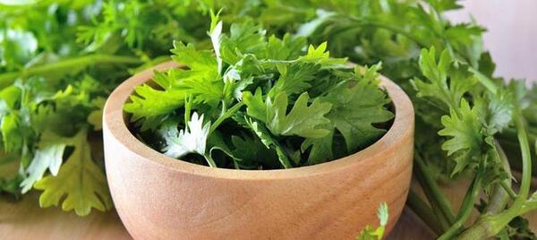 عکس جعفری و گشنیز