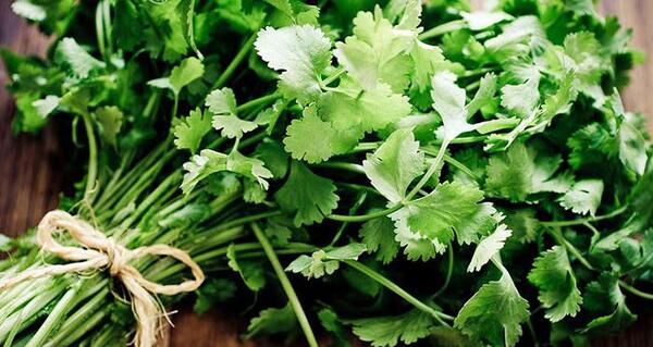 عکس جعفری و گشنیز