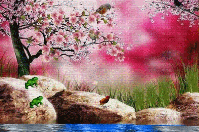 عکس تصاویر زیبای طبیعت متحرک