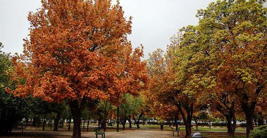 عکس طبیعت شیراز
