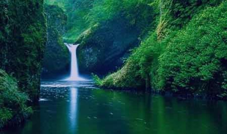 عکس طبیعت شاد