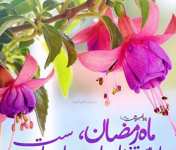 عکس رمضان کریم برای پروفایل