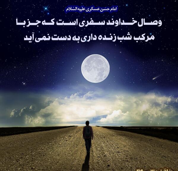 عکس شب زنده داری
