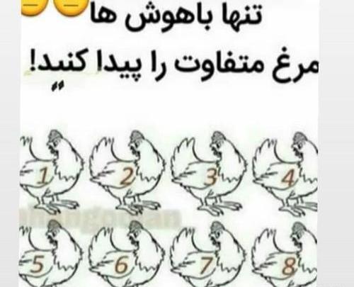 عکس طنز غمگین