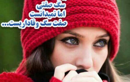 عکس حیوان صفتی