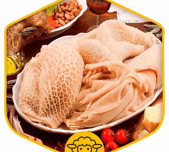 عکس شیردان گوسفندی