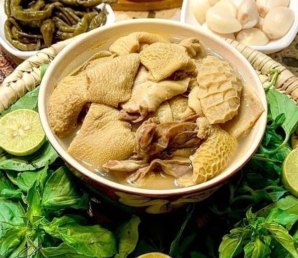 عکس شیردان گوسفندی
