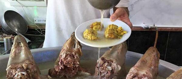 عکس شیردان گوسفندی