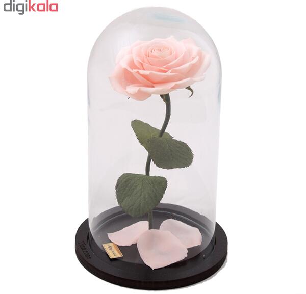عکس گل در شیشه