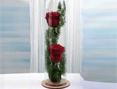 عکس گل در شیشه