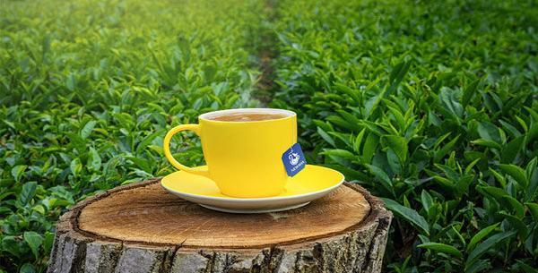 عکس چای لاغری نیوشا