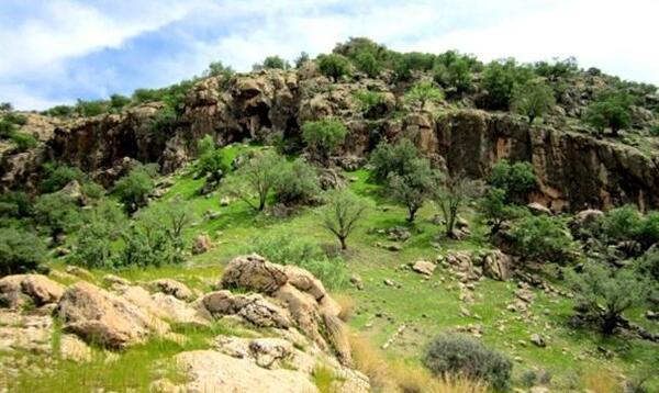 عکس از طبیعت کازرون
