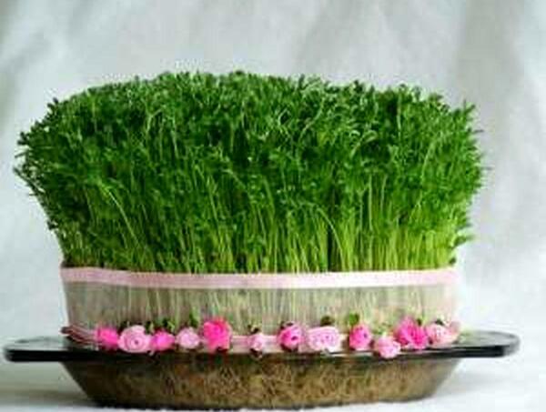 عکس سفره هفت سین و سبزه