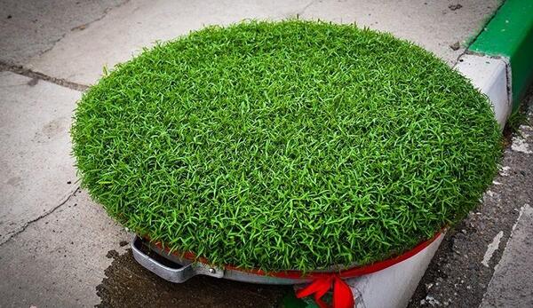عکس سفره هفت سین و سبزه