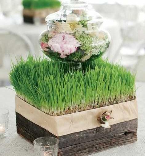 عکس سفره هفت سین و سبزه