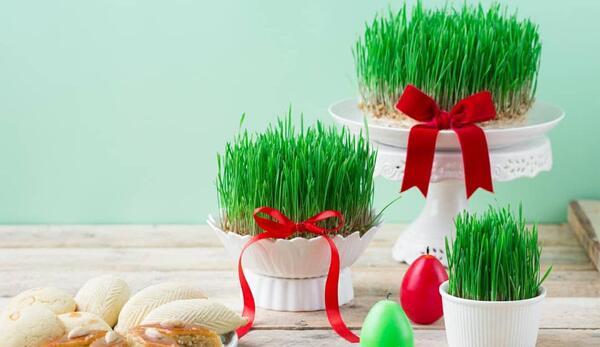 عکس سفره هفت سین و سبزه
