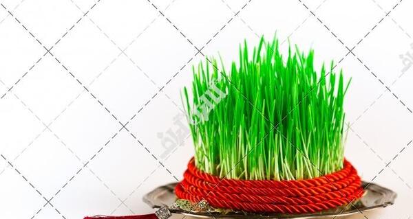 عکس سفره هفت سین و سبزه