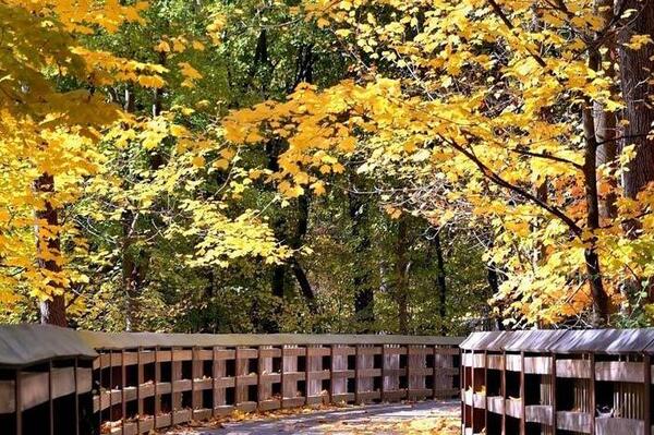 عکس طبیعت زیبای فصل پاییز