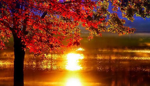 عکس طبیعت زیبای فصل پاییز