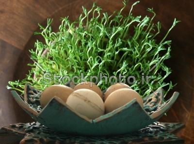عکس سبزه عید طبیعی