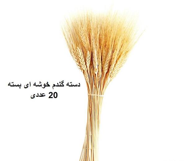 عکس دسته گل گندم