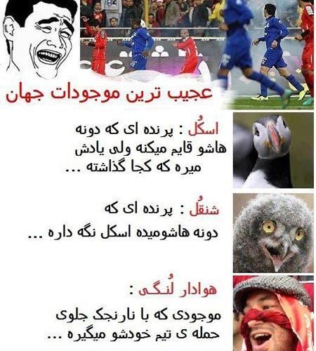 عکس های ضد پرسپولیس خنده دار