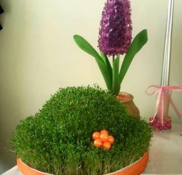 عکس سبزه عید خوشگل