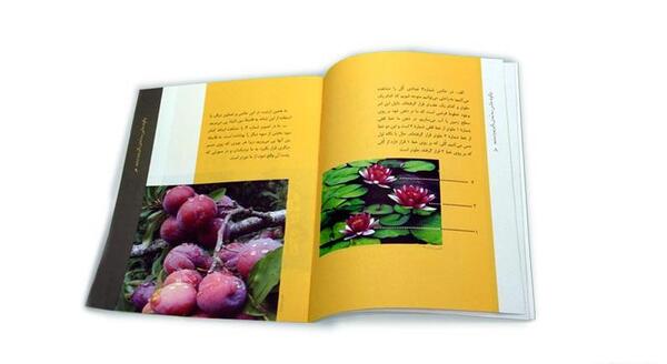چگونه عکس سه بعدی بگیریم