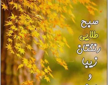 عکس برای صبح بخیر یکشنبه