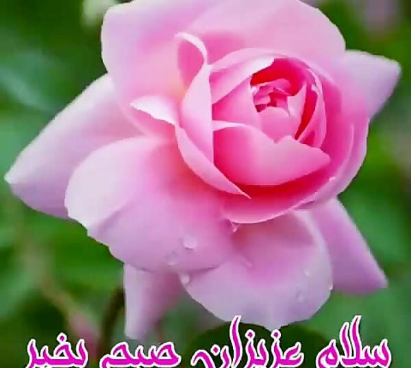 عکس برای صبح بخیر یکشنبه