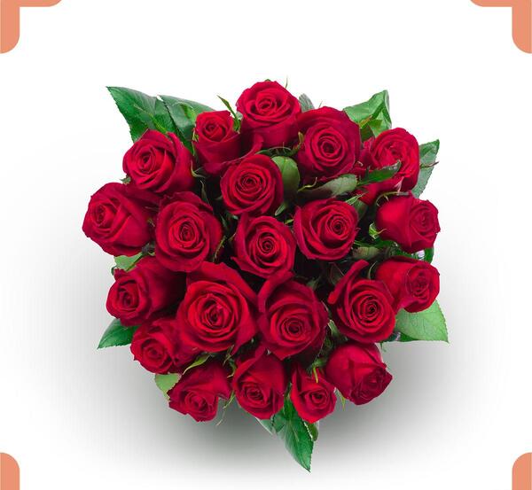 عکس دسته گل قرمز خوشگل