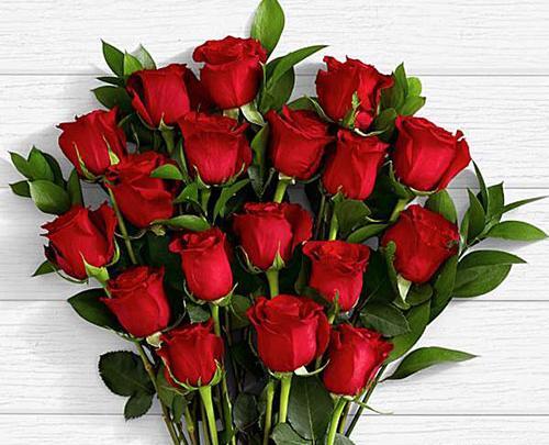 عکس دسته گل قرمز خوشگل