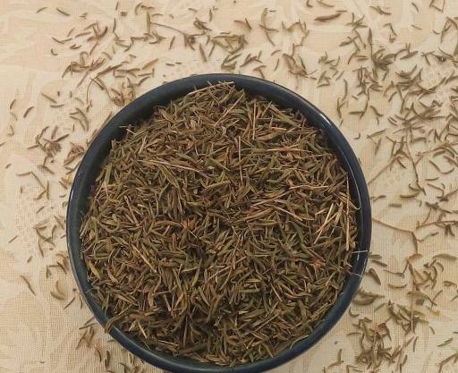 عکس آویشن باریک