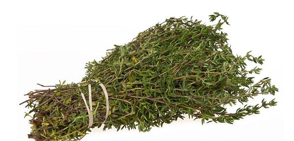 عکس آویشن باریک