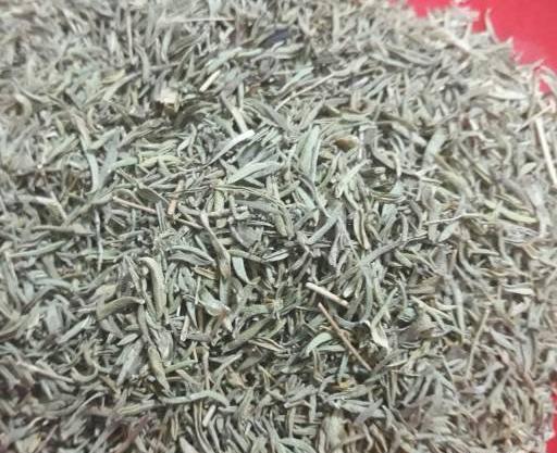 عکس آویشن باریک