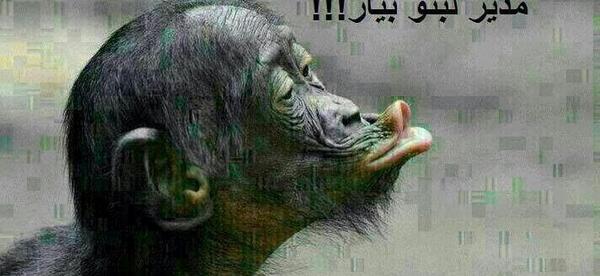 عکس طنز میمون