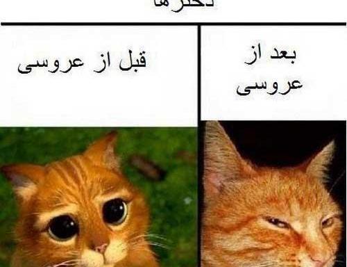 عکس جالب و خنده دار برای پروفایل