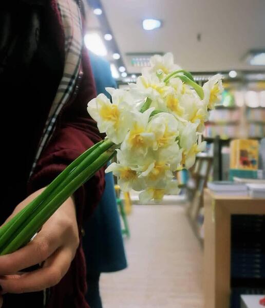 عکس دسته گل نرگس برای پروفایل